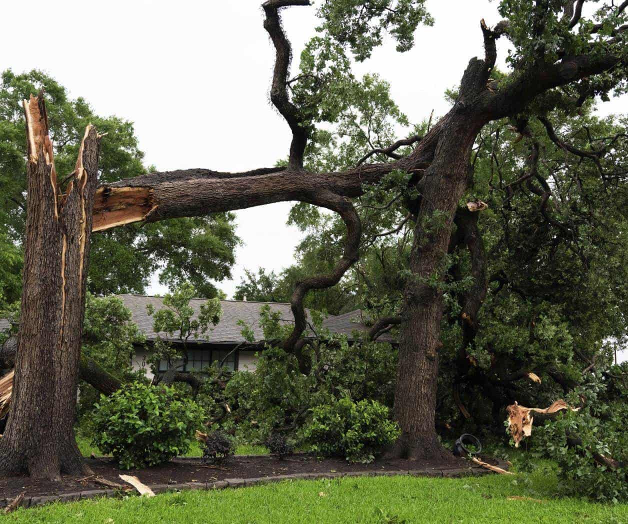 Tormentas provocan fuertes granizadas, intensas lluvias y tornados en centro-norte de EU