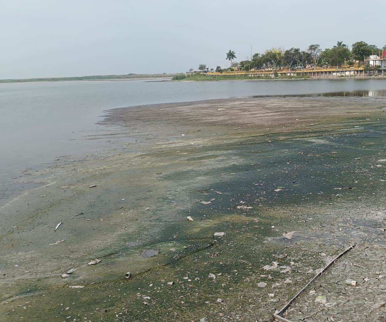 Se sigue secando el sistema lagunario en zona sur de Tamaulipas