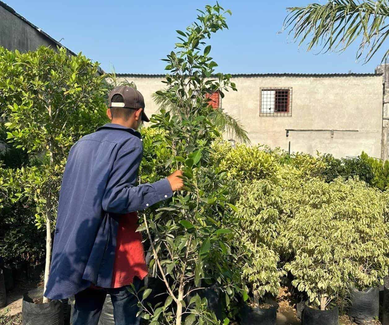 Pide jardín de niños auxilio para reforestar