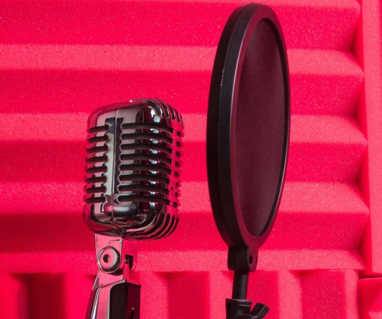 INE suspende participación de Fernández Noroña en programas de radio