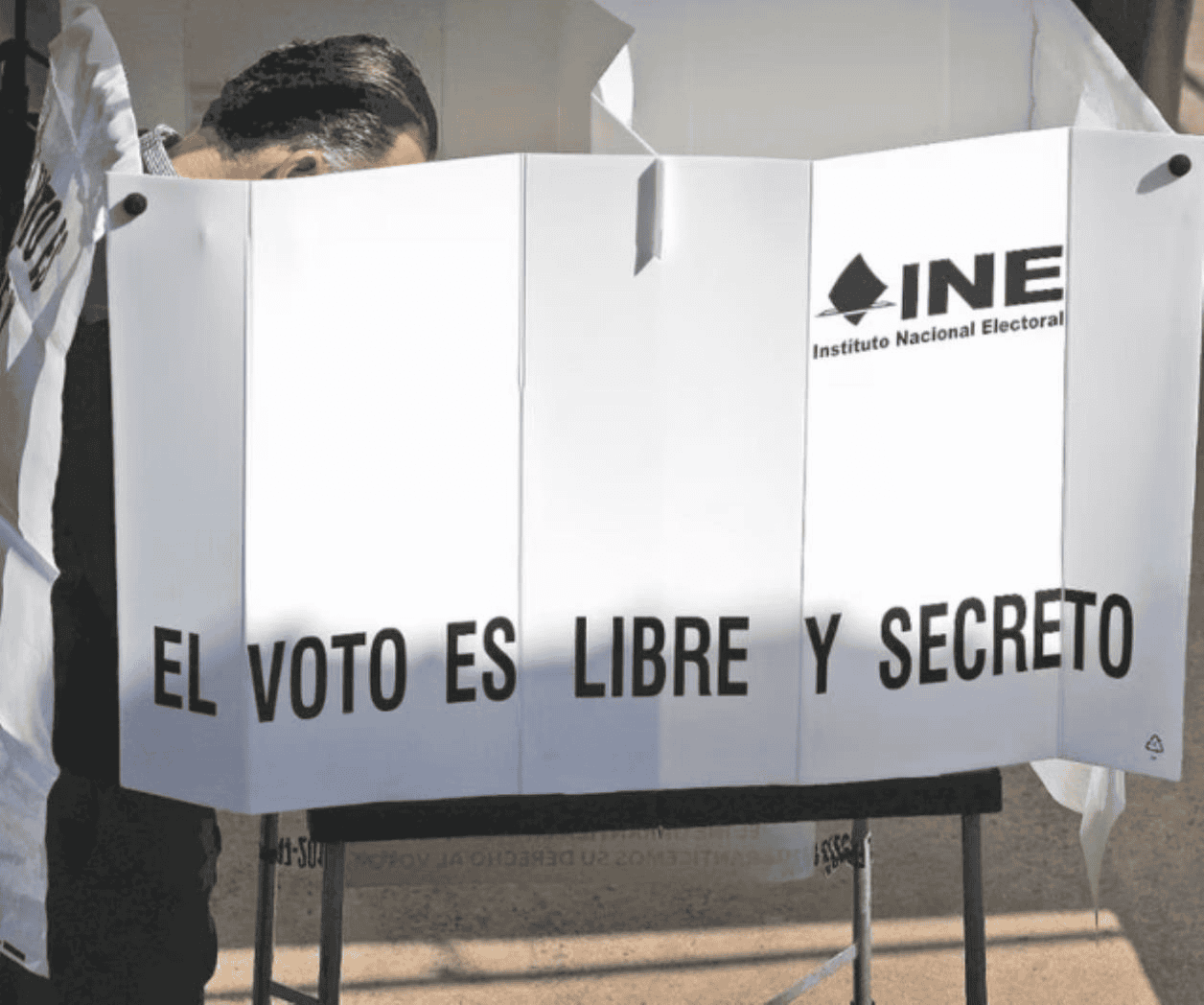 Elecciones 2024: ¿Conoces los delitos electorales que puedes denunciar?