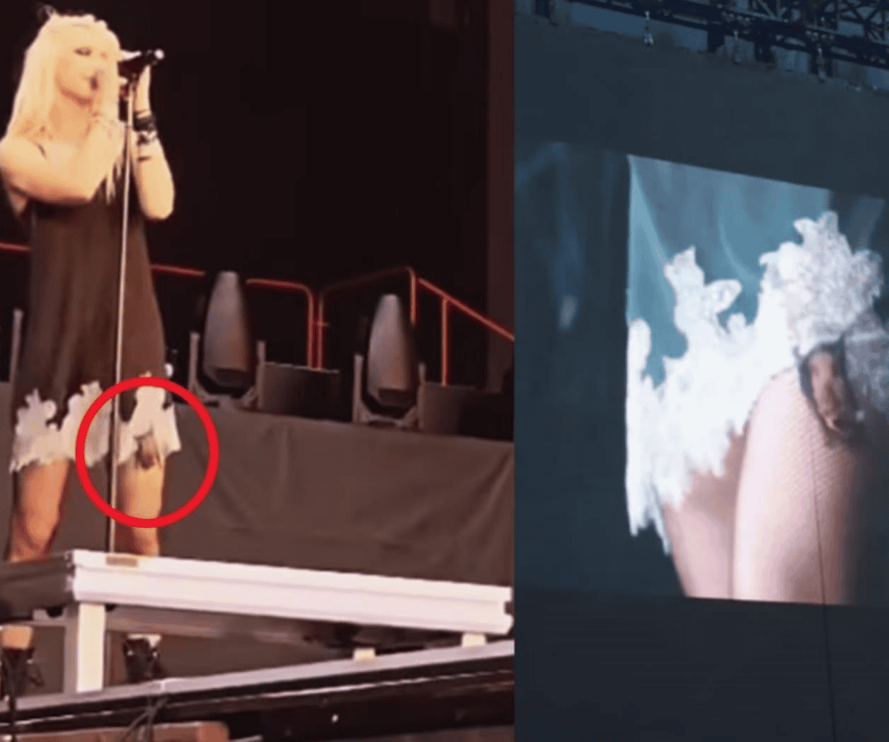 Taylor Momsen es mordida por un murciélago en pleno concierto