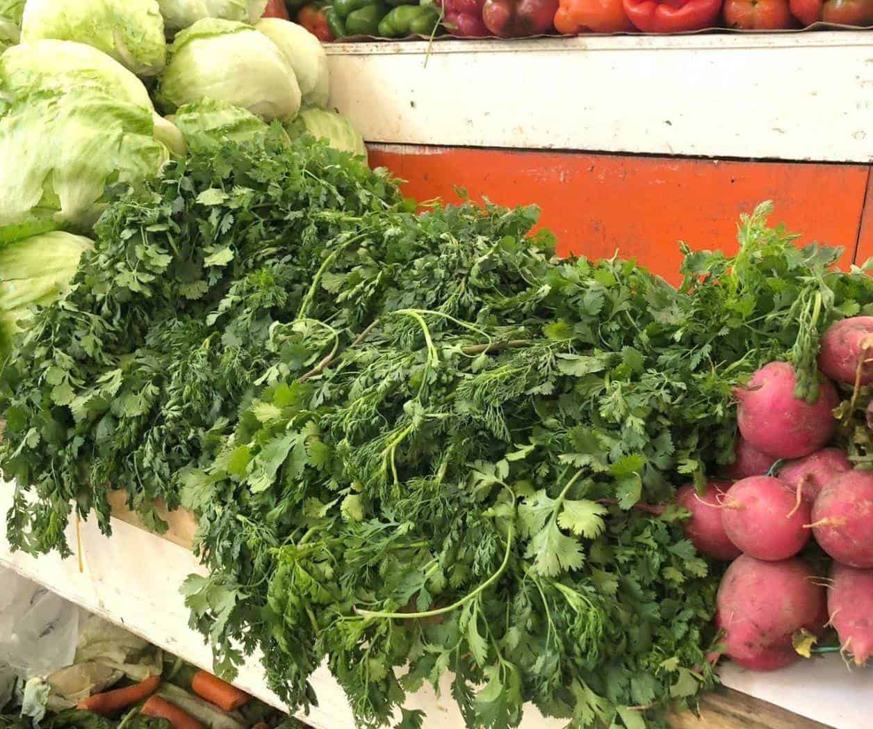 Se dispara precio del cilantro en Matamoros: alcanza los 40 pesos