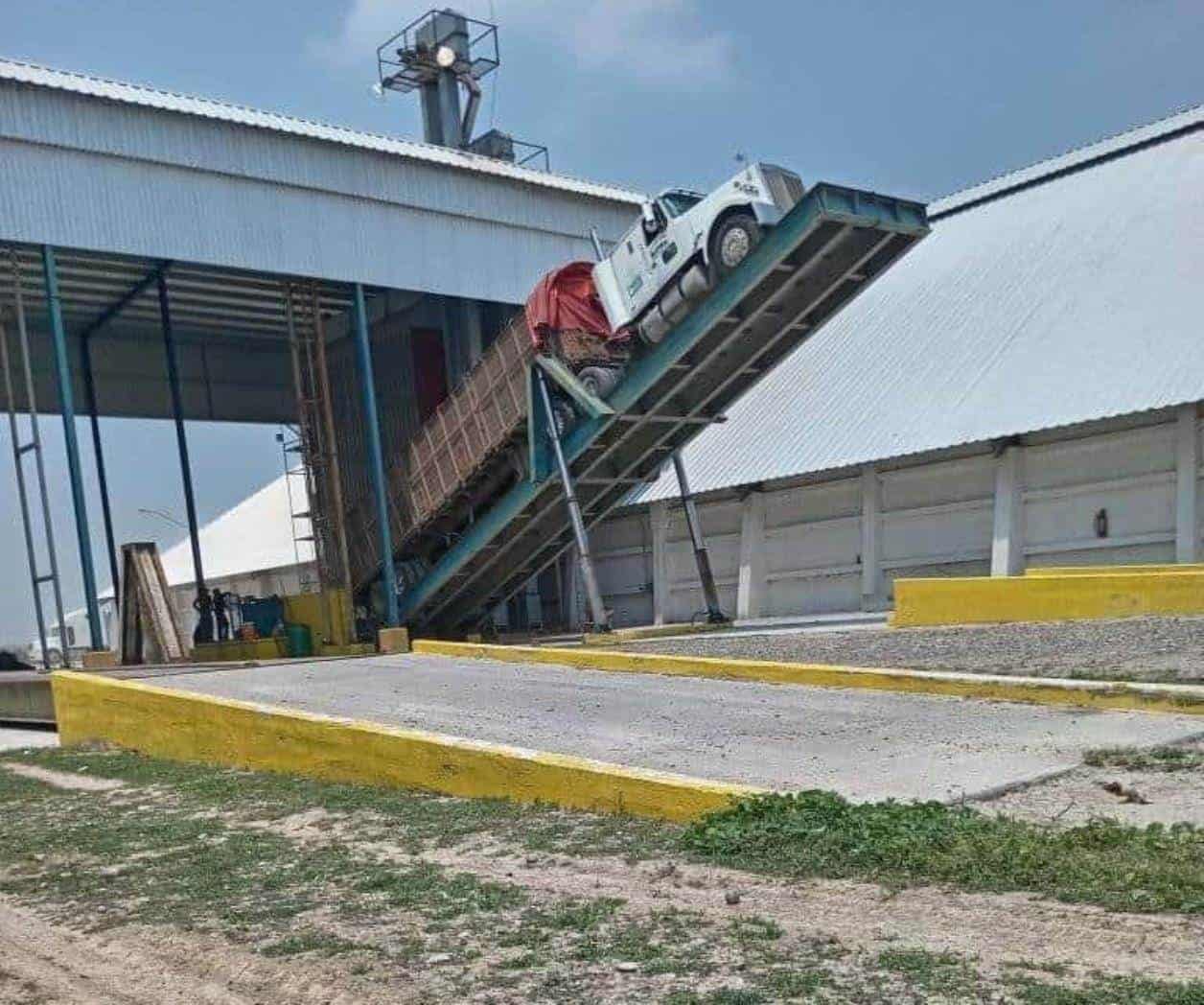 Levantan cosechas de sorgo en zona de riego