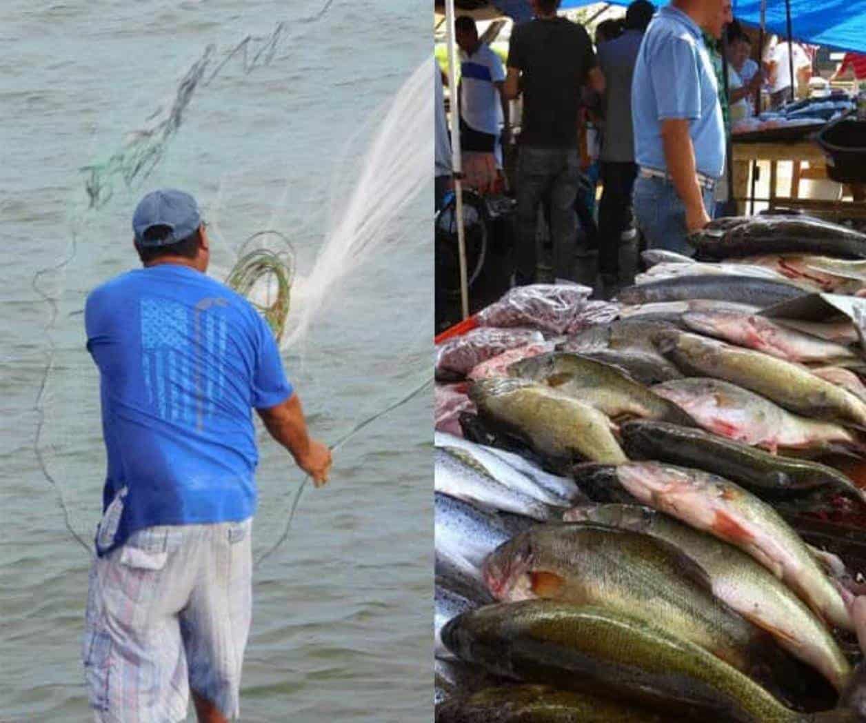 Vuelven pescadores a tener actividades