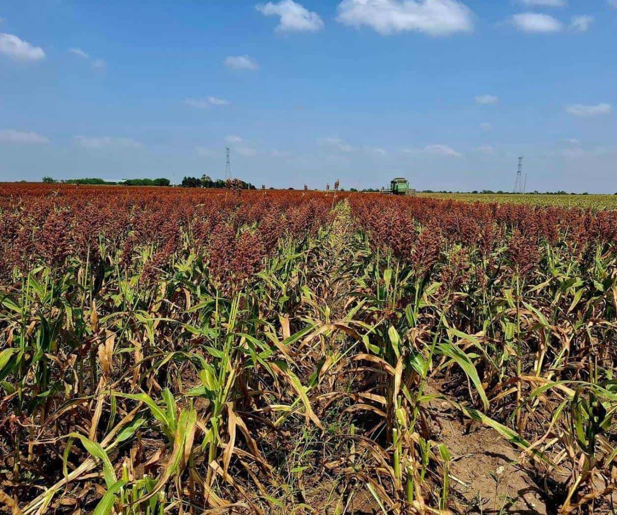 Exigen agricultores el apoyo económico