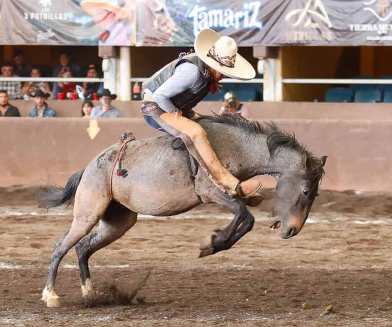 Exhiben sus habilidades los Charros de Reynosa Exhiben sus habilidades los Charros de Reynosa