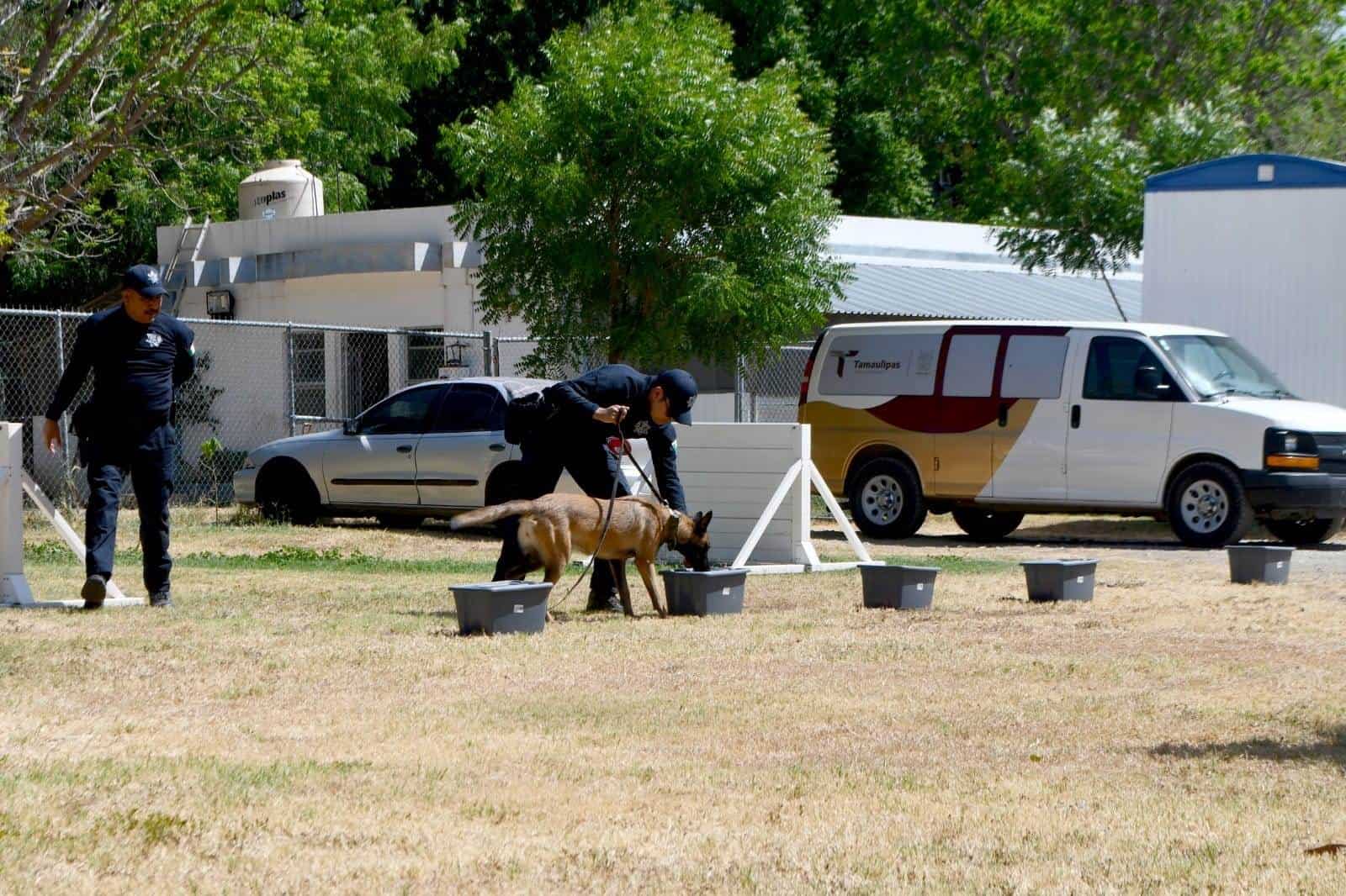 Capacitan a manejadores y caninos de la SSPT