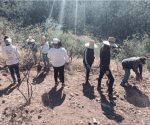 Colectivo halla al menos 20 cuerpos en fosas clandestinas en Nogales