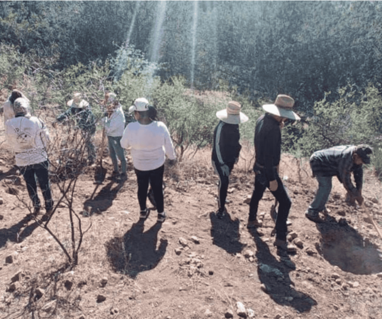 Colectivo halla al menos 20 cuerpos en fosas clandestinas en Nogales