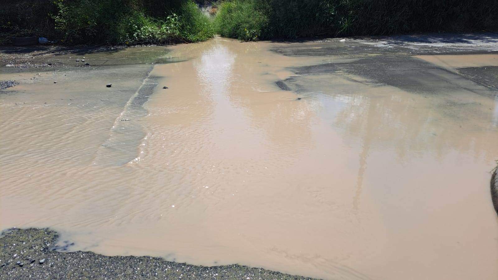 Desperdicio de agua potable preocupa a colonos de Loma Linda