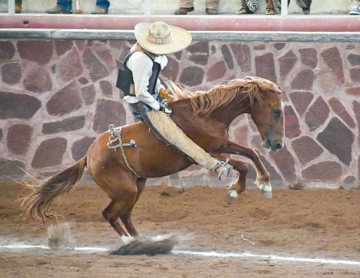 Gran sorpresa en charrería