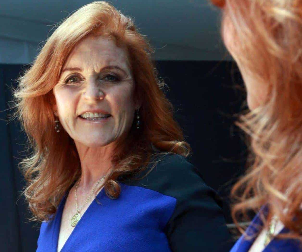 Aún no está fuera de peligro Aún no está fuera de peligro