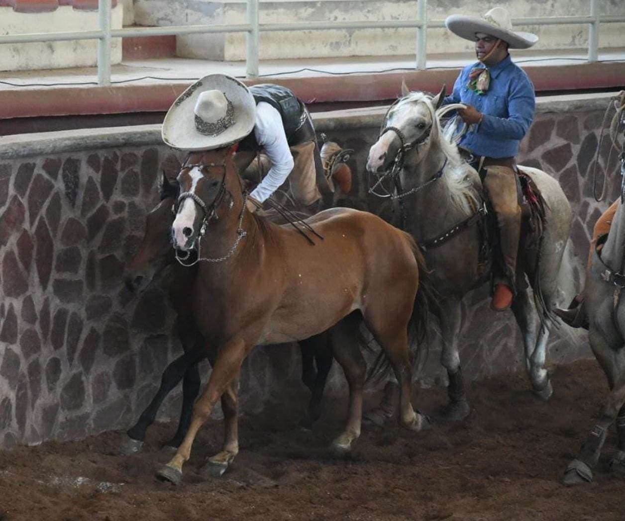 Reynosa acaricia cima