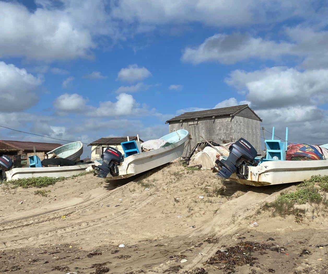 Alertan a pescadores por veda de camarón en costas de Tamaulipas