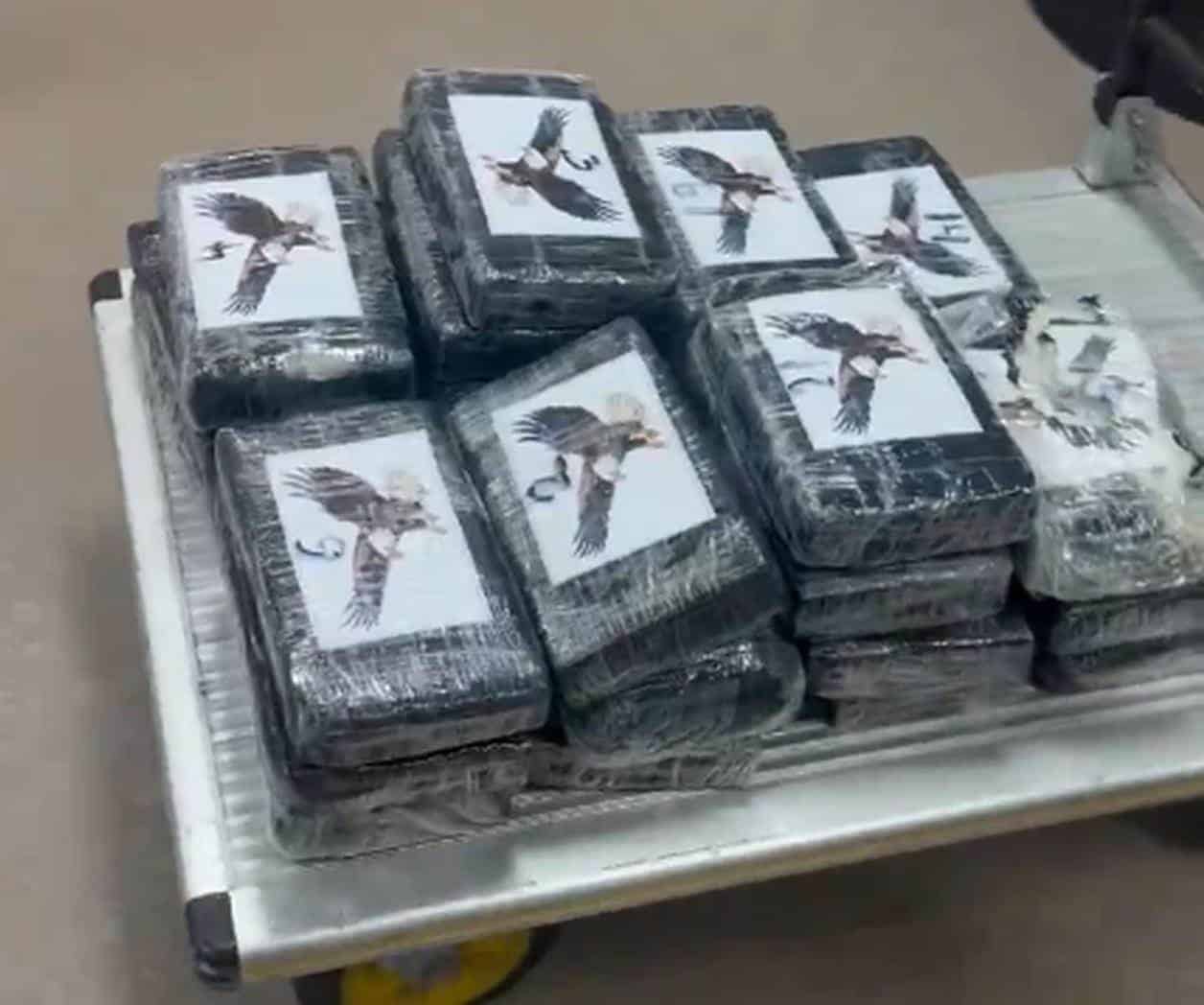 ‘Pescan’ cargamento de ‘coca’ por 1 mdd