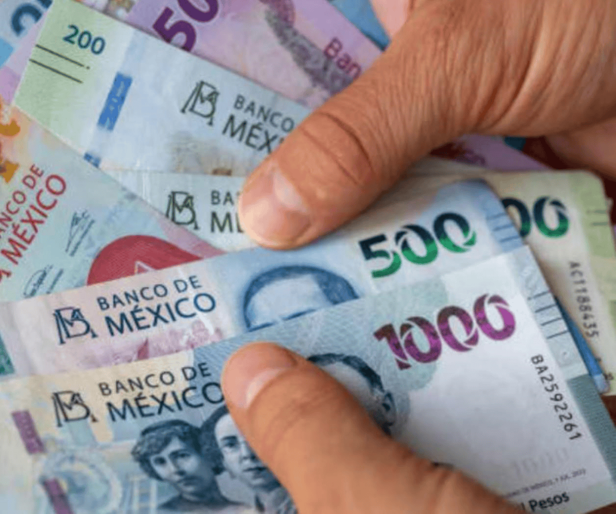 Superpeso cierra con ganancias tras anuncio de gabinete de Sheinbaum