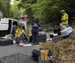 Vuelca camioneta que llevaba perros