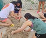 Colabora la UAT en conservación de la tortuga lora