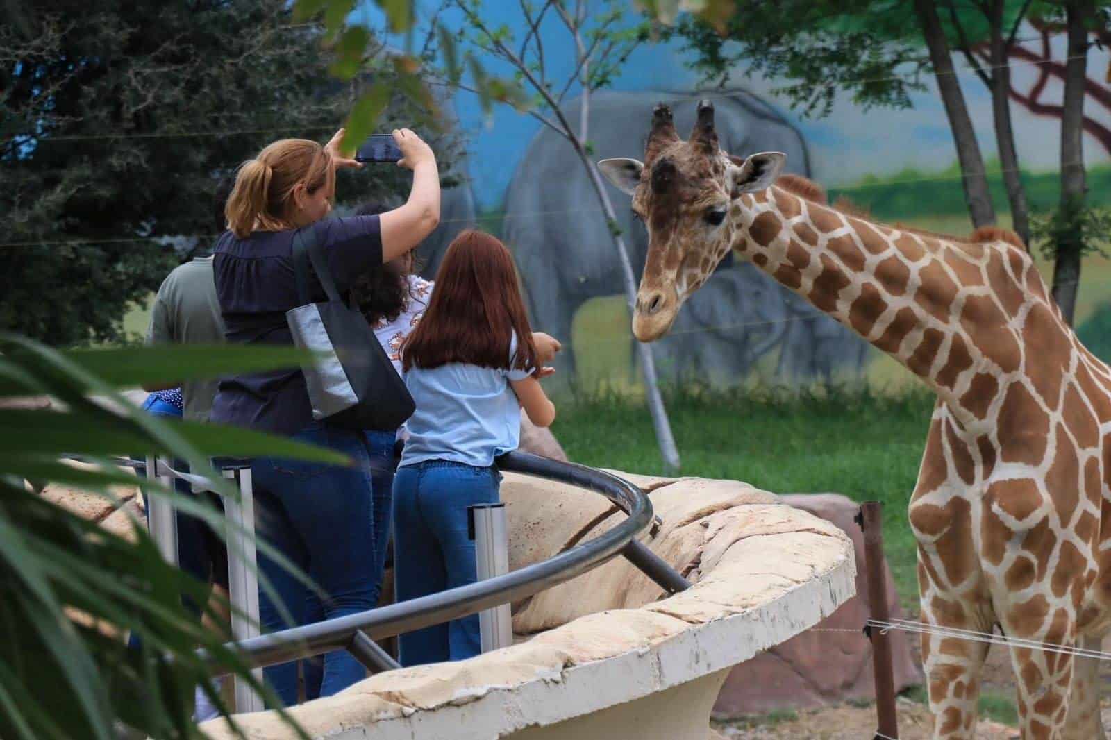 Zool&oacute;gico Tamat&aacute;n celebrar&aacute; su 80 aniversario