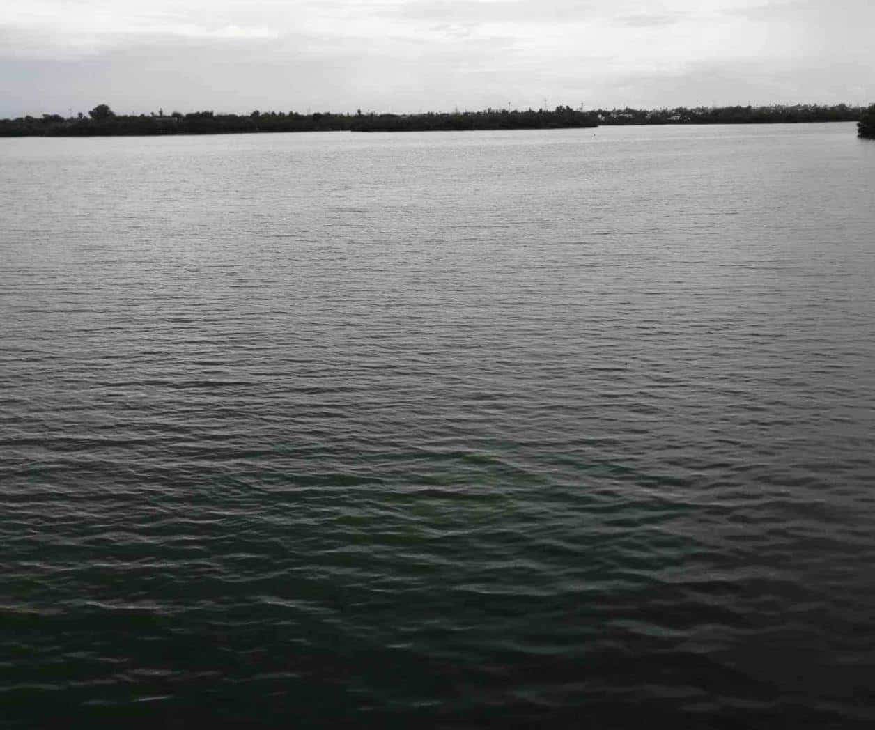´Revive´ laguna La Escondida de Reynosa