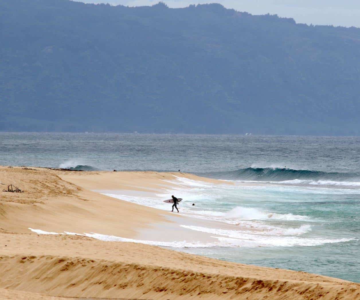Fallece socorrista tras ataque de tiburón en Hawai