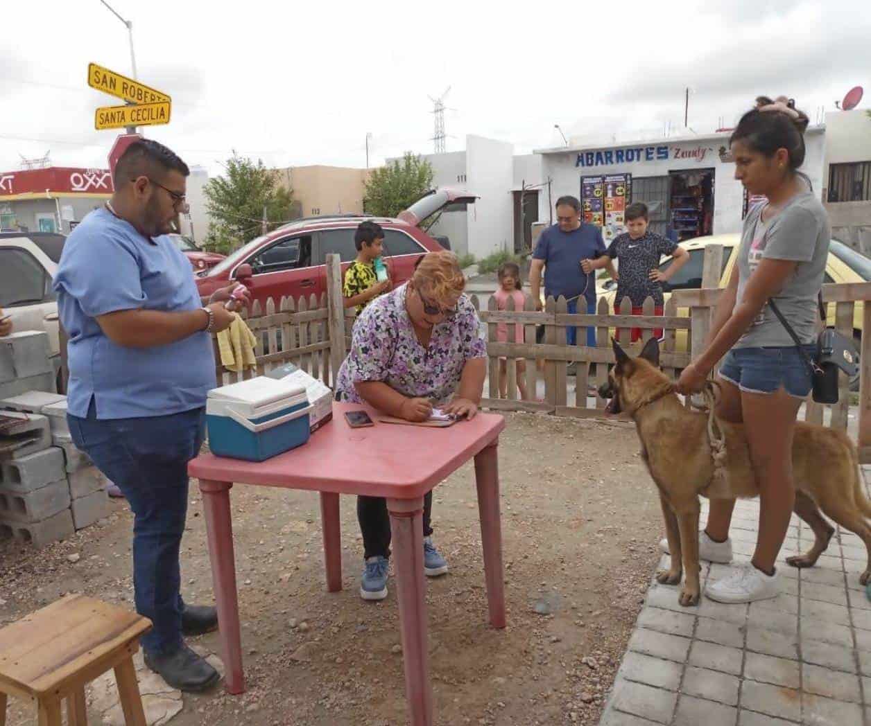 Aumentan ataques de perros callejeros