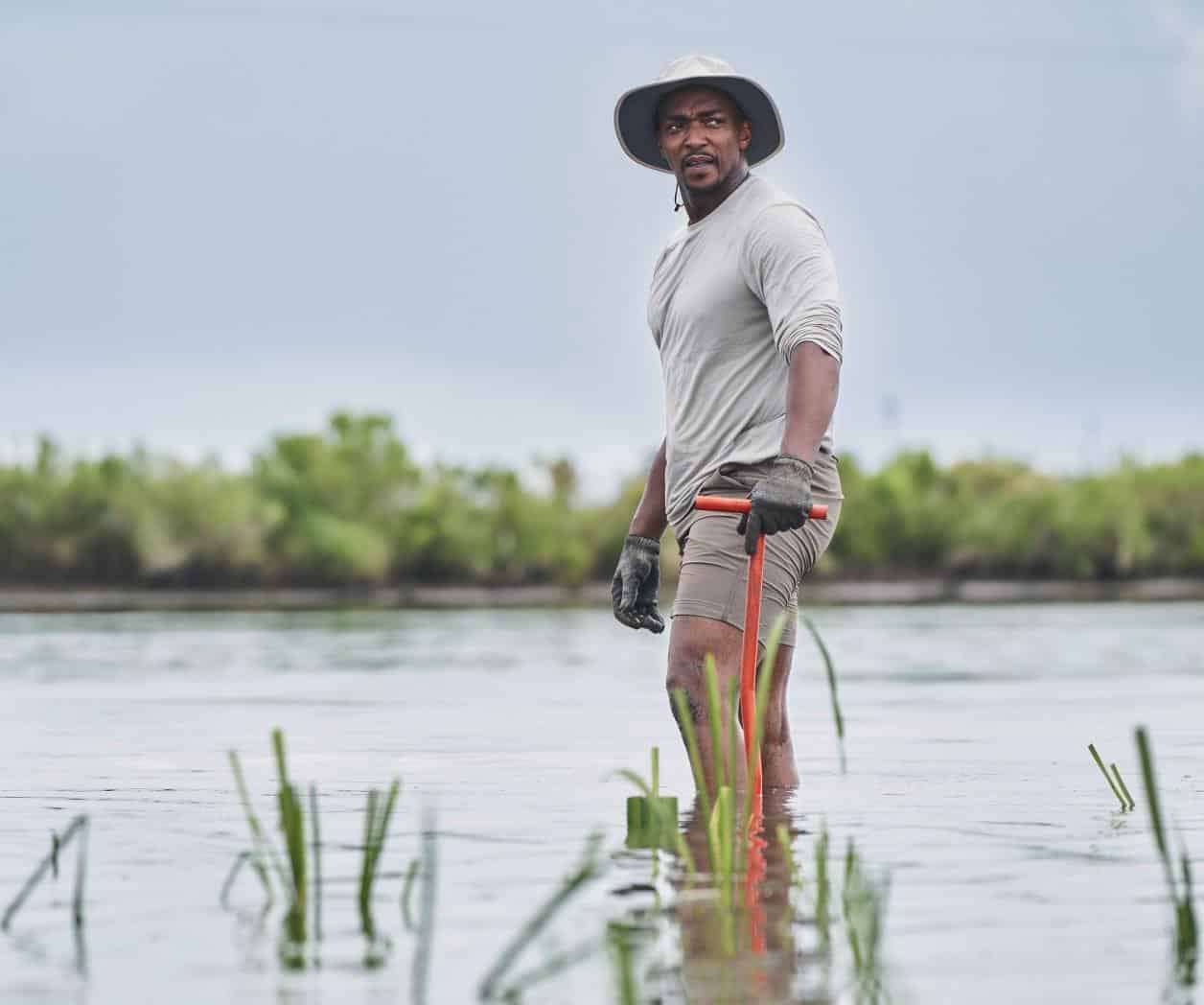 La aventura submarina de Anthony Mackie en SharkFest