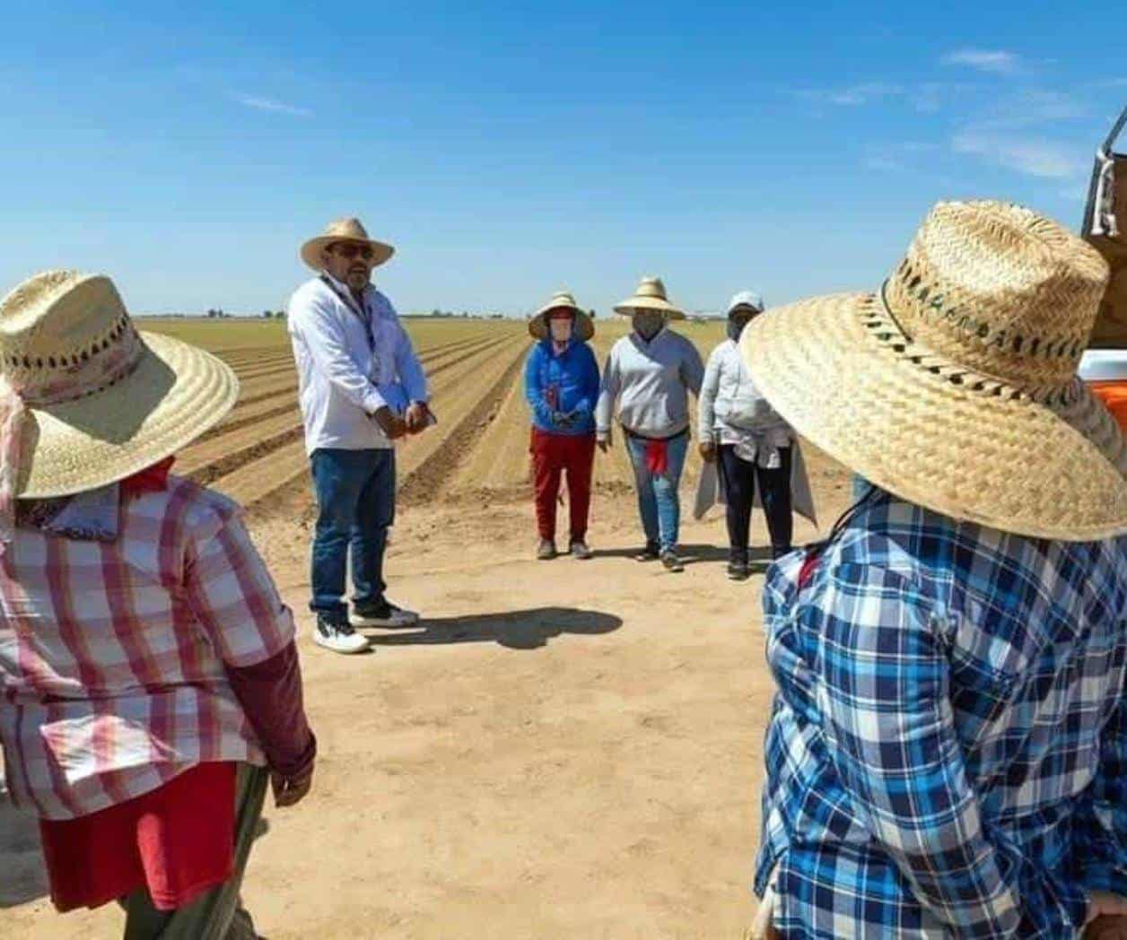 Reportan ocho muertes por calor en Mexicali