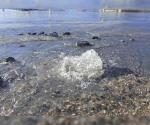 Fugas de agua potable afectan Bulevar Fundadores en Reynosa