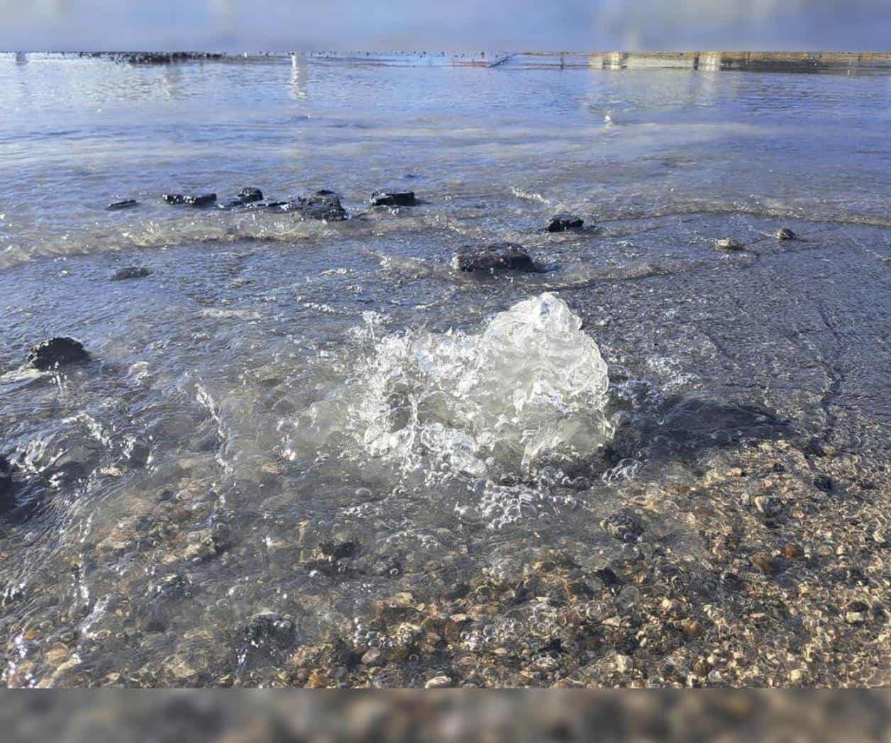 Fugas de agua potable afectan Bulevar Fundadores en Reynosa