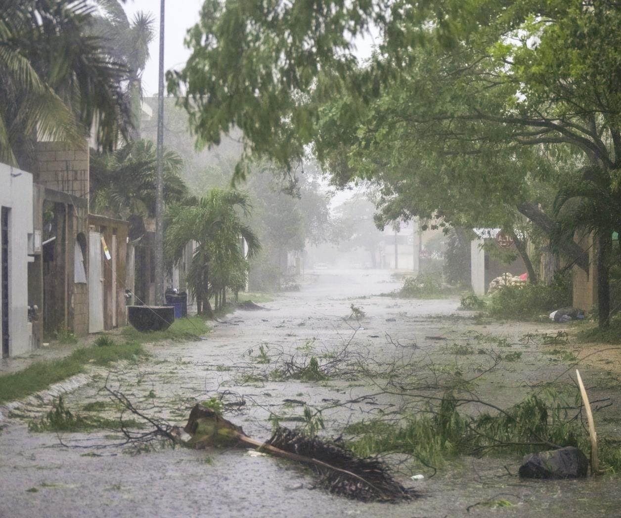 Apagones, caída de árboles, postes y techumbres en Tulum por Beryl