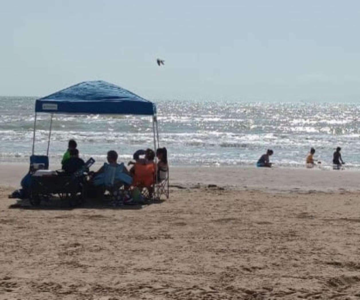 Pese a ataque de tiburón, permanece abierta Playa de Isla del Padre