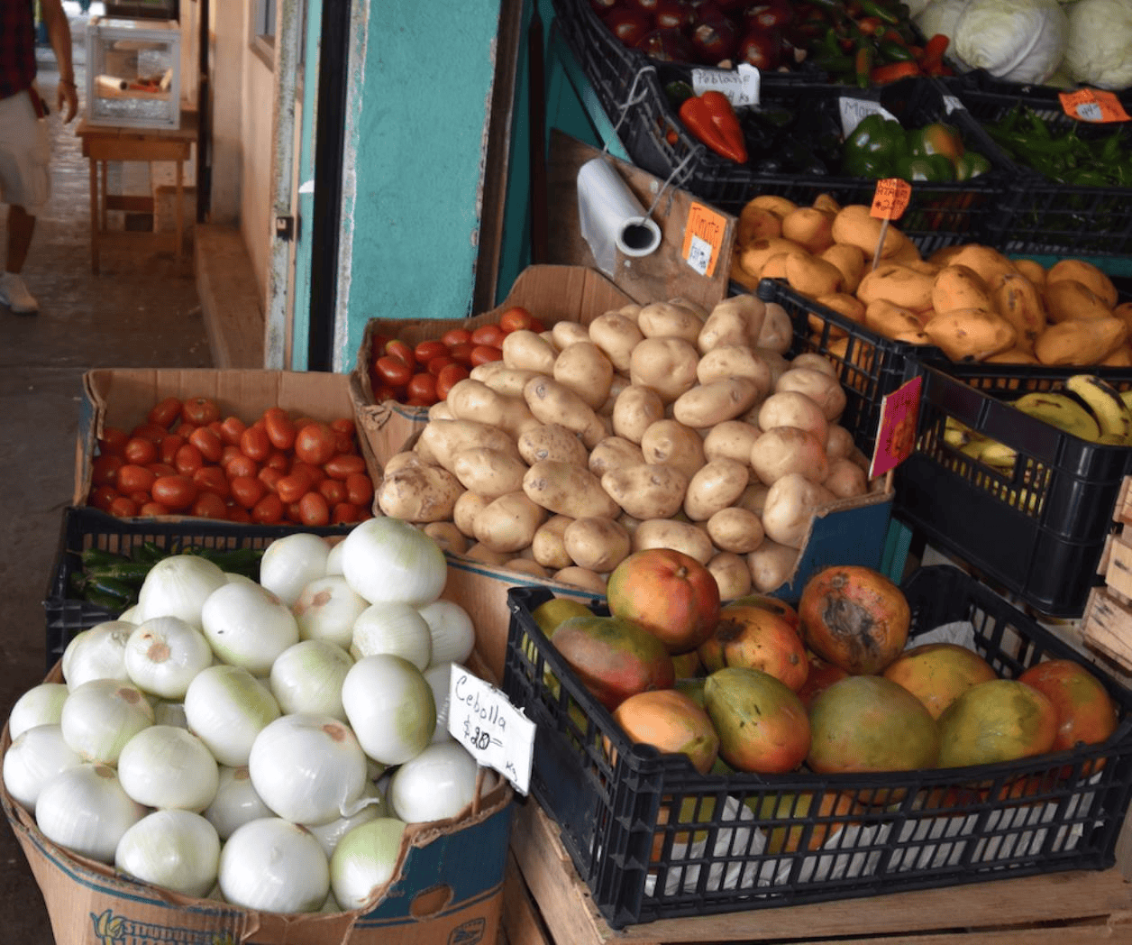 Dificulta a negocios conservar alimentos