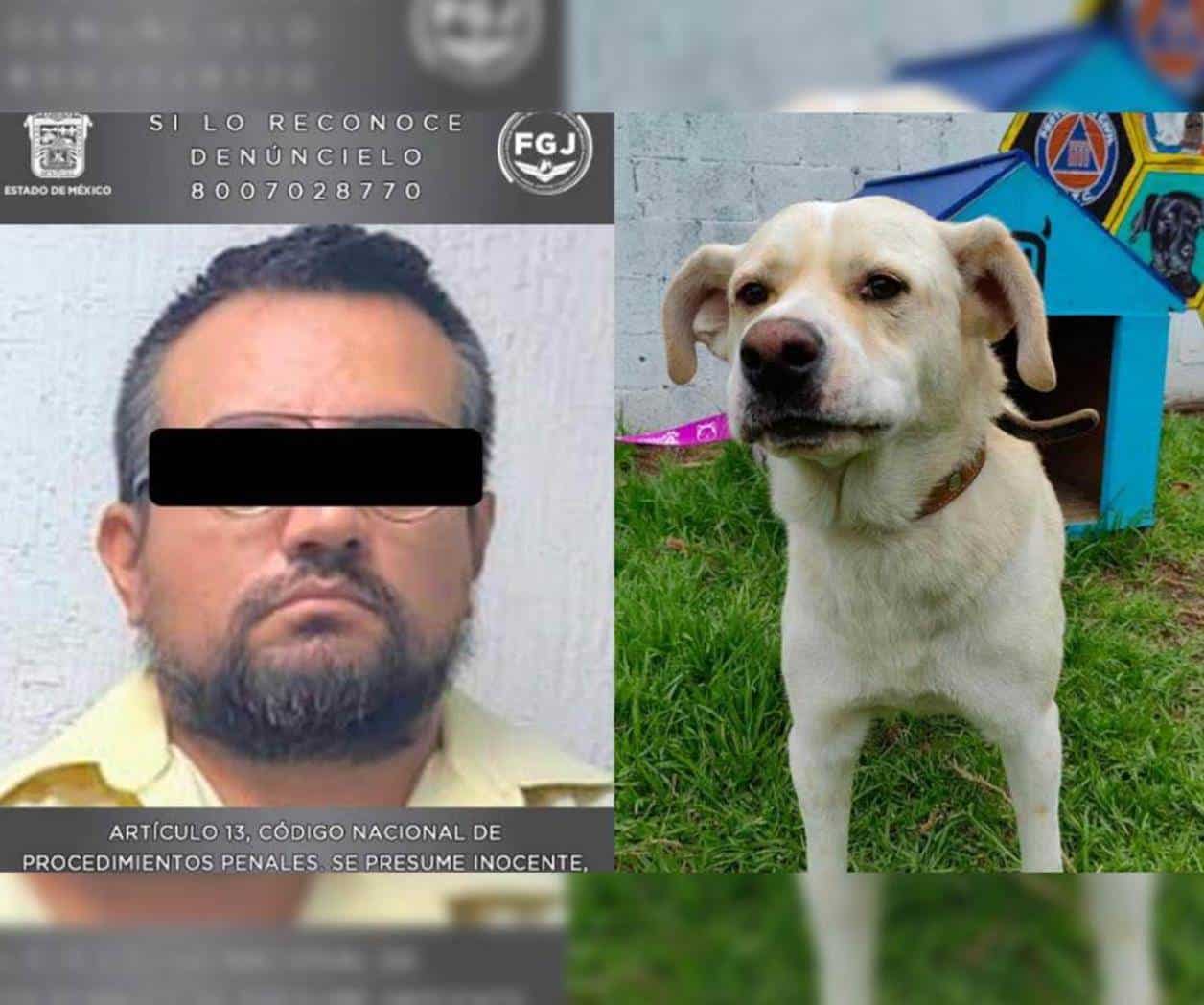 FGJEM arresta a hombre que habría causado la muerte de seis perros FGJEM arresta a hombre que habría causado la muerte de seis perros
