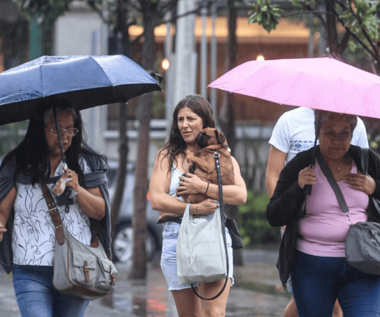 Alerta meteorológica: Lluvias intensas en varios estados