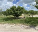 Abandonada plaza pública en Colonia Monterreal de Río Bravo