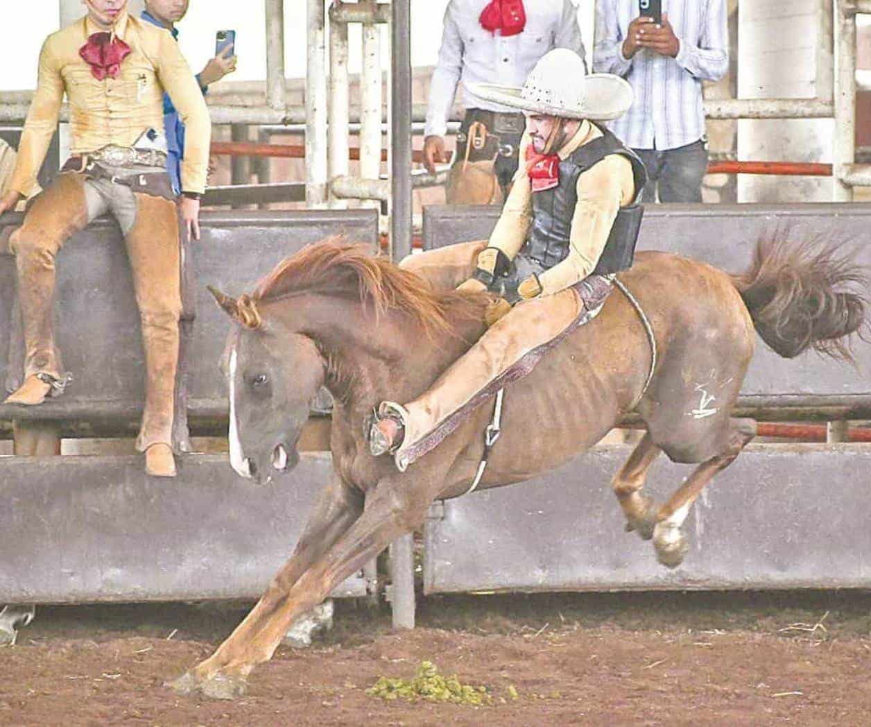 Gran presentación de los Tamaulipecos