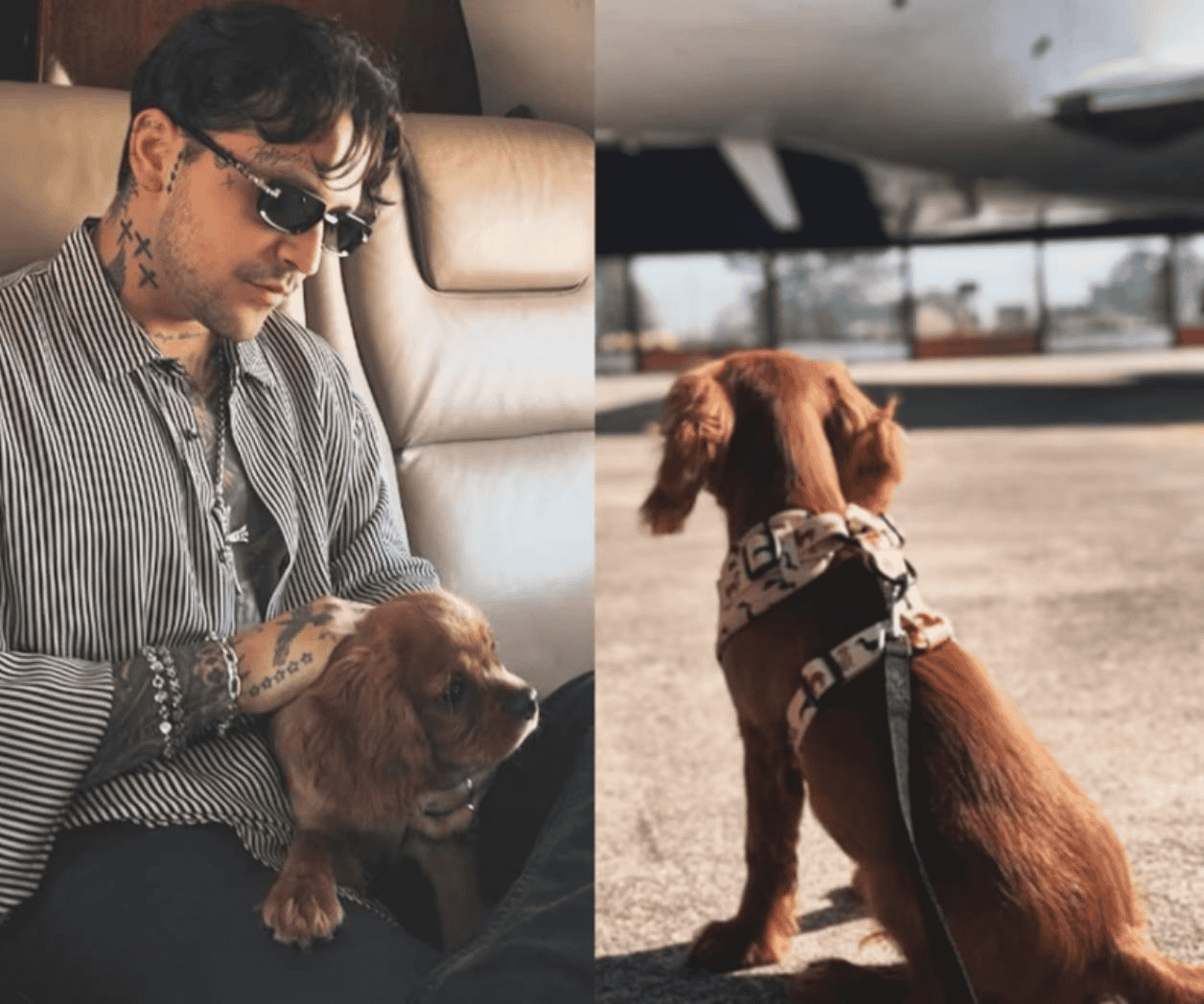 Ángela Aguilar y Christian Nodal abren Instagram para su perrito
