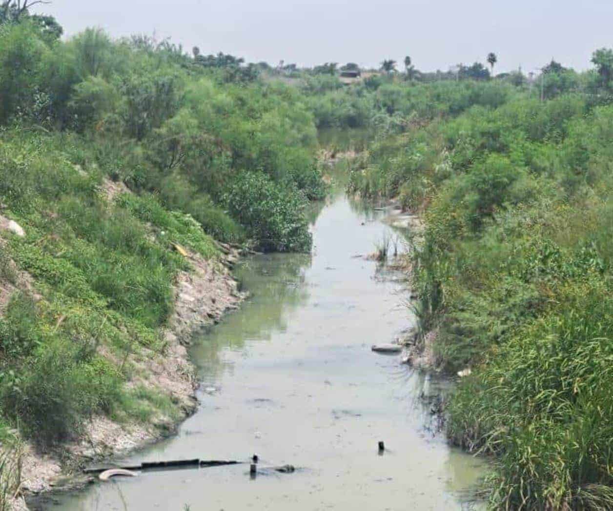 Se mantiene hierbas en drenes y canales en Reynosa