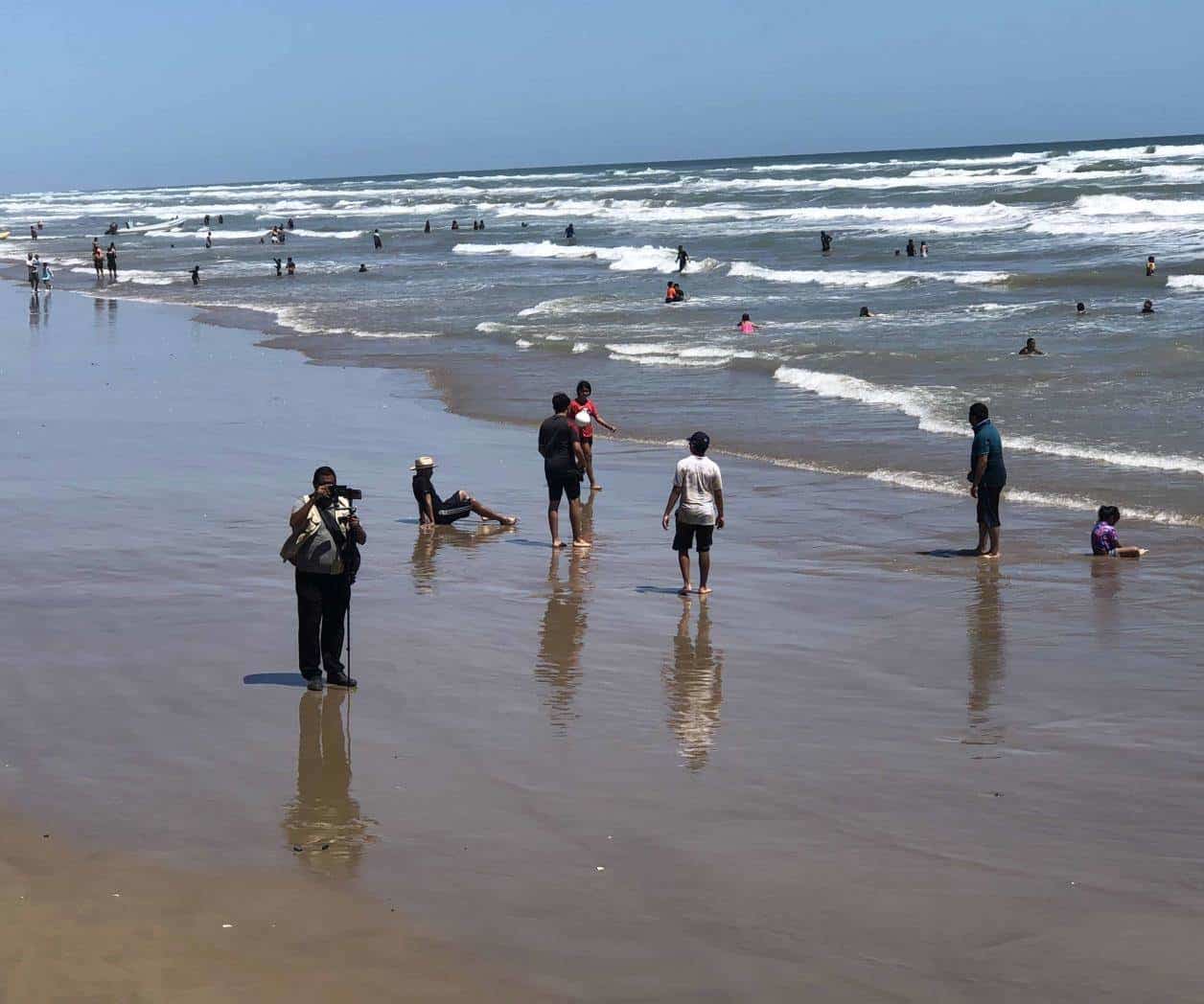 Descartan riesgo por los tiburones