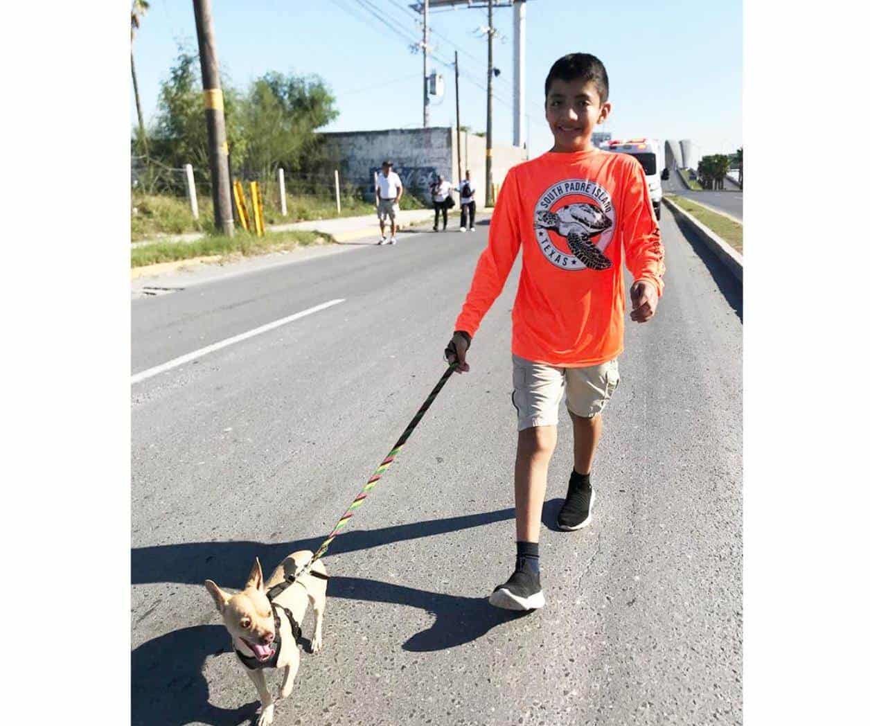 Celebran, hoy domingo, Día Mundial del Perro