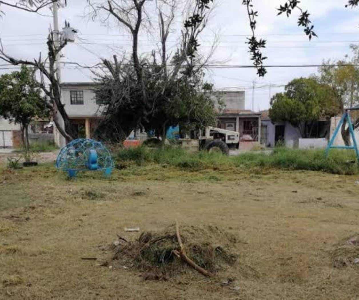 Impulsan cuidado del entorno natural en Reynosa