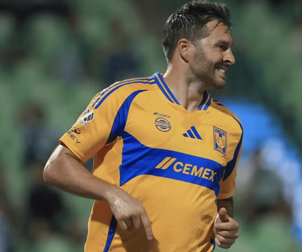 Sencilla victoria para Tigres ante Santos