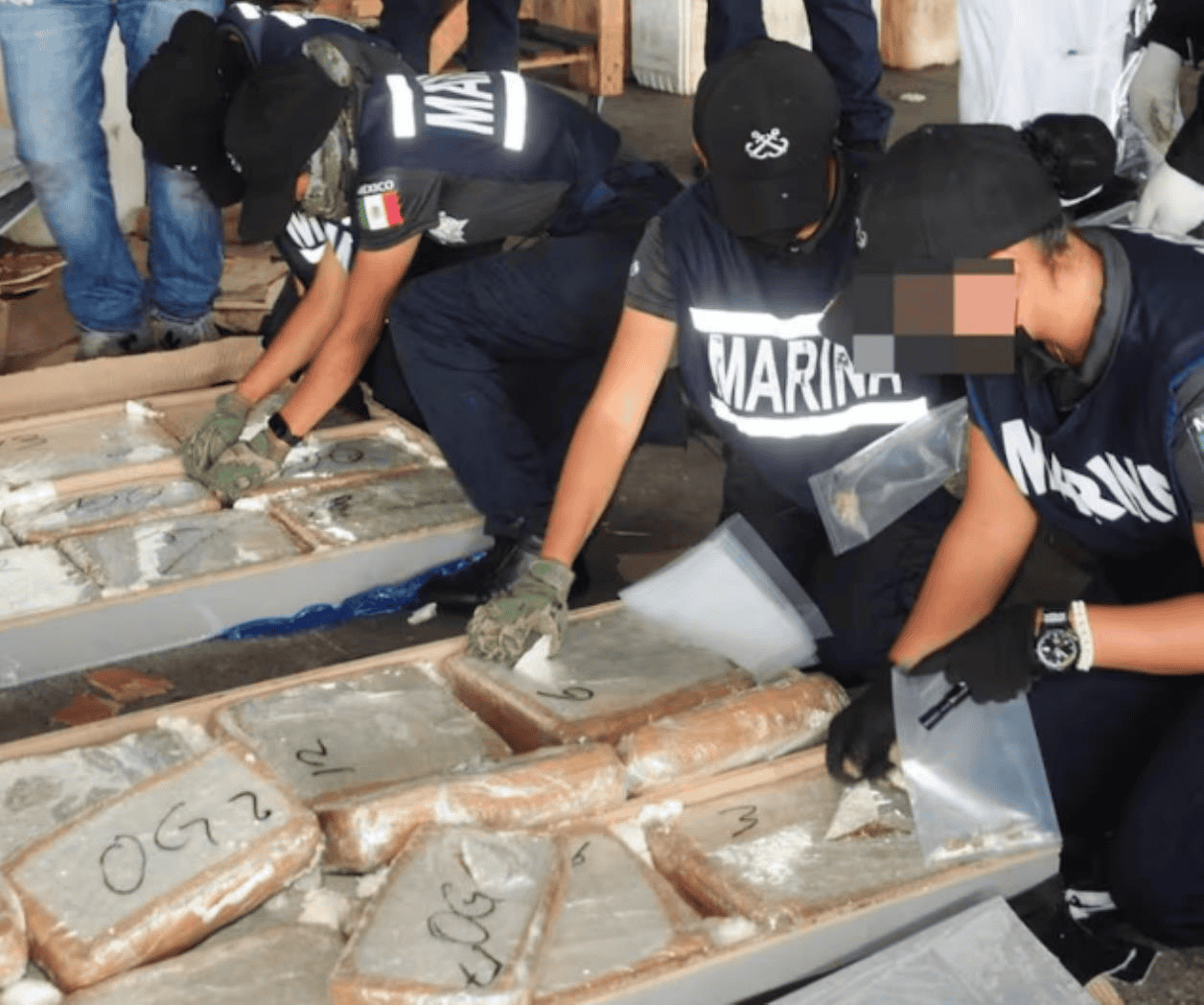 Semar asegura más de seis toneladas de marihuana en Veracruz