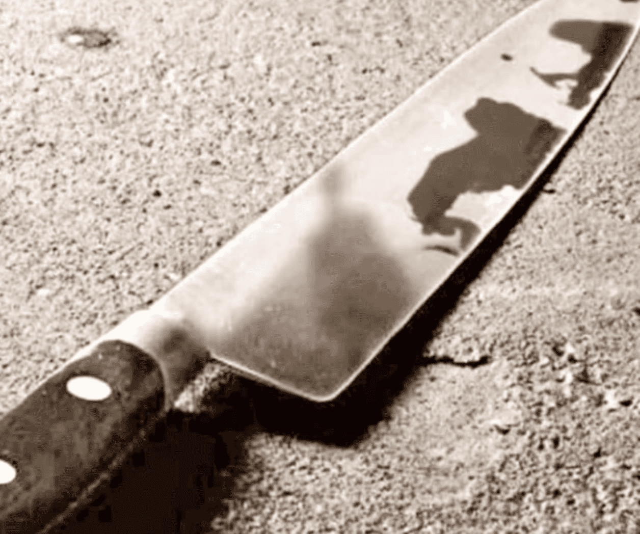 Joven apuñala a su padrastro en Central de Autobuses de Puebla Joven apuñala a su padrastro en Central de Autobuses de Puebla