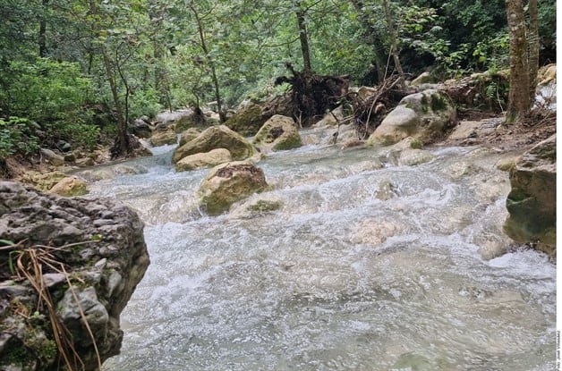 Revivir del manantial La Estanzuela tras la tormenta Alberto