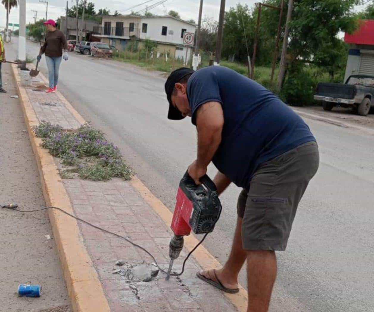 Reforestan ecologistas y municipio