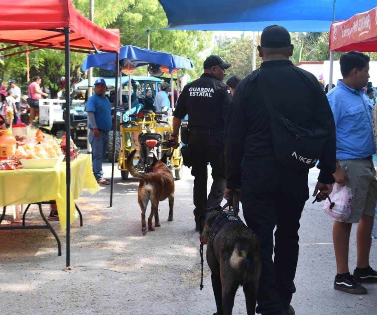 Perciben menos inseguridad en ciudades de Tamaulipas, según encuesta de Inegi