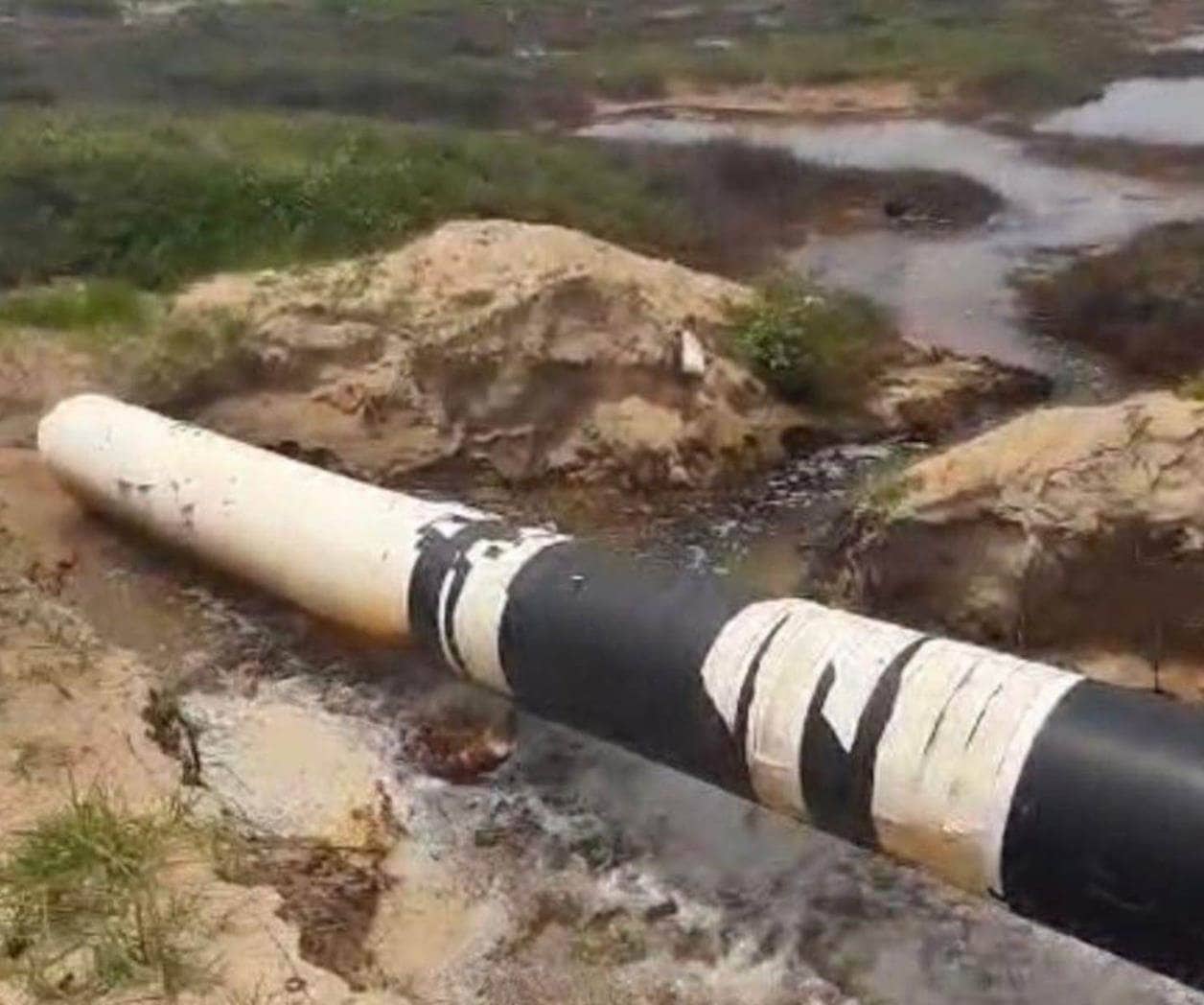 Vigilan contaminación en dunas de Altamira